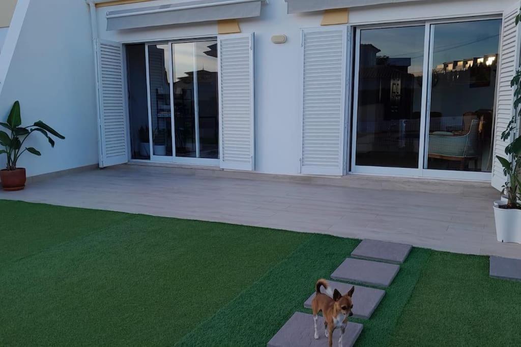 Villa Gale Premium House - Pet Friendly Albufeira Exterior foto
