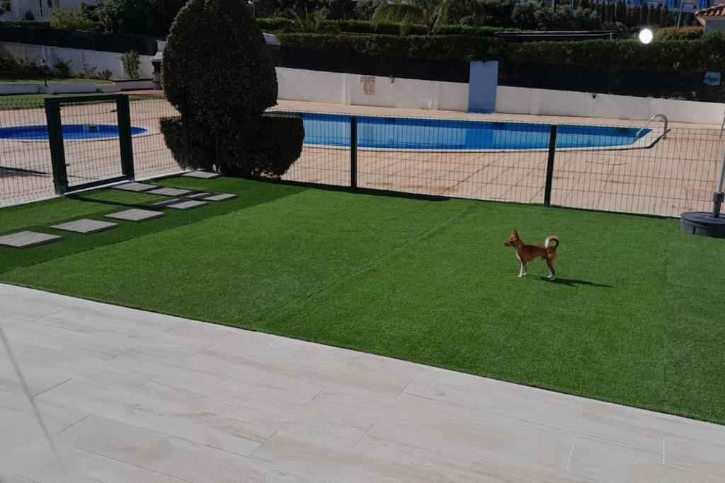 Villa Gale Premium House - Pet Friendly Albufeira Exterior foto